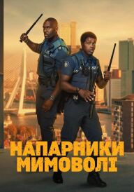 Напарники мимоволі постер