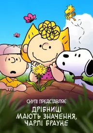 Снупі представляє: Дрібниці мають значення, Чарлі Брауне постер